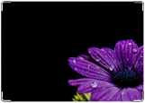 Обложка на паспорт с уголками, Фиолетовый цветок