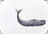 Обложка на паспорт с уголками, кит