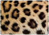 Обложка на паспорт с уголками, Леопард