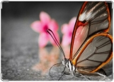 Обложка на автодокументы с уголками, бабочка