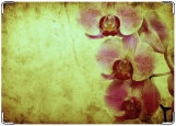 Обложка на паспорт с уголками, Орхидея