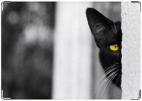 Обложка на паспорт с уголками, Черный кот