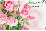 Обложка для свидетельства о рождении, Розовые розы