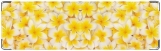 Визитница/Картхолдер, цветочки желтые.
