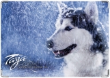Блокнот, Снежный пёс