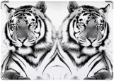 Обложка на паспорт с уголками, White Tiger