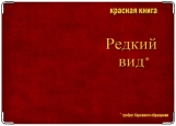 Обложка на паспорт с уголками, 6535636
