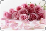 Обложка для свидетельства о рождении, Розовые розы