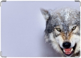 Обложка на автодокументы с уголками, Волк