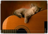 Обложка на трудовую книжку, котёнок на гитаре