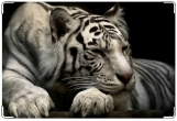 Обложка на ветеринарный паспорт, Тигр