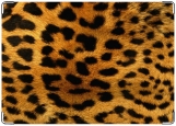 Обложка на трудовую книжку, леопард