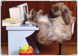 Обложка на трудовую книжку, кролик