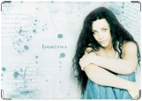 Обложка на паспорт с уголками, Evanescence (Amy Li)
