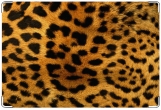 Обложка на ветеринарный паспорт, Леопард