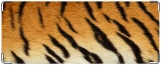 Обложка на студенческий, Тигр