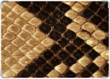 Обложка на автодокументы с уголками, Змея