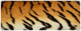Обложка на зачетную книжку, Тигр