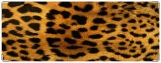 Обложка на зачетную книжку, Леопард