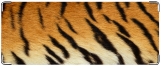 Кошелек, Тигр