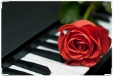 Обложка для свидетельства о рождении, Роза на пианино