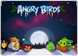 Обложка на трудовую книжку, Angry Birds