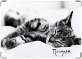 Обложка на паспорт с уголками, Спящий котенок