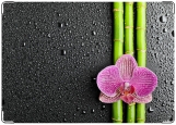 Обложка на паспорт с уголками, Бамбук и орхидея