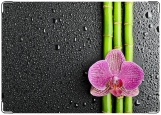 Обложка на трудовую книжку, Бамбук и орхидея
