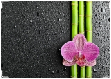 Обложка на медицинскую книжку, Бамбук и орхидея