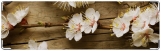 Визитница/Картхолдер, цветение вишни
