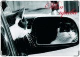 Обложка на автодокументы с уголками, кот в зеркале