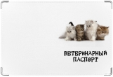 Обложка на ветеринарный паспорт, котята