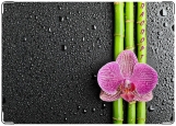 Обложка на паспорт с уголками, Орхидея и бамбук