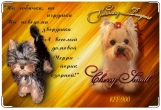 Обложка на ветеринарный паспорт, Cherry Small