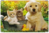 Обложка на ветеринарный паспорт, Щенок и котята.