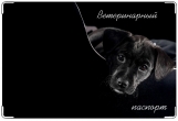 Обложка на ветеринарный паспорт, Чернушка