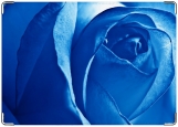 Обложка на паспорт с уголками, роза в голубом