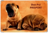 Обложка на ветеринарный паспорт, шарпей