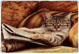 Обложка на ветеринарный паспорт, Кот в очках 2