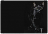 Обложка на паспорт с уголками, Чёрная кошка