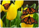 Обложка на паспорт с уголками, Бабочки Монарх