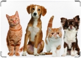Обложка на паспорт с уголками, кошки-собаки