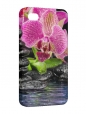 Чехол iPhone 4/4S, Цветок