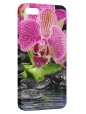 Чехол для iPhone 5/5S, Цветок