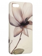 Чехол для iPhone 5/5S, Нежный цветок