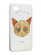 Чехол iPhone 4/4S, Кот Grumpy cat