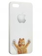 Чехол для iPhone 5/5S, kotik