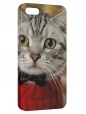 Чехол для iPhone 5/5S, cat