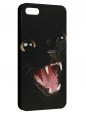Чехол для iPhone 5/5S, cat2